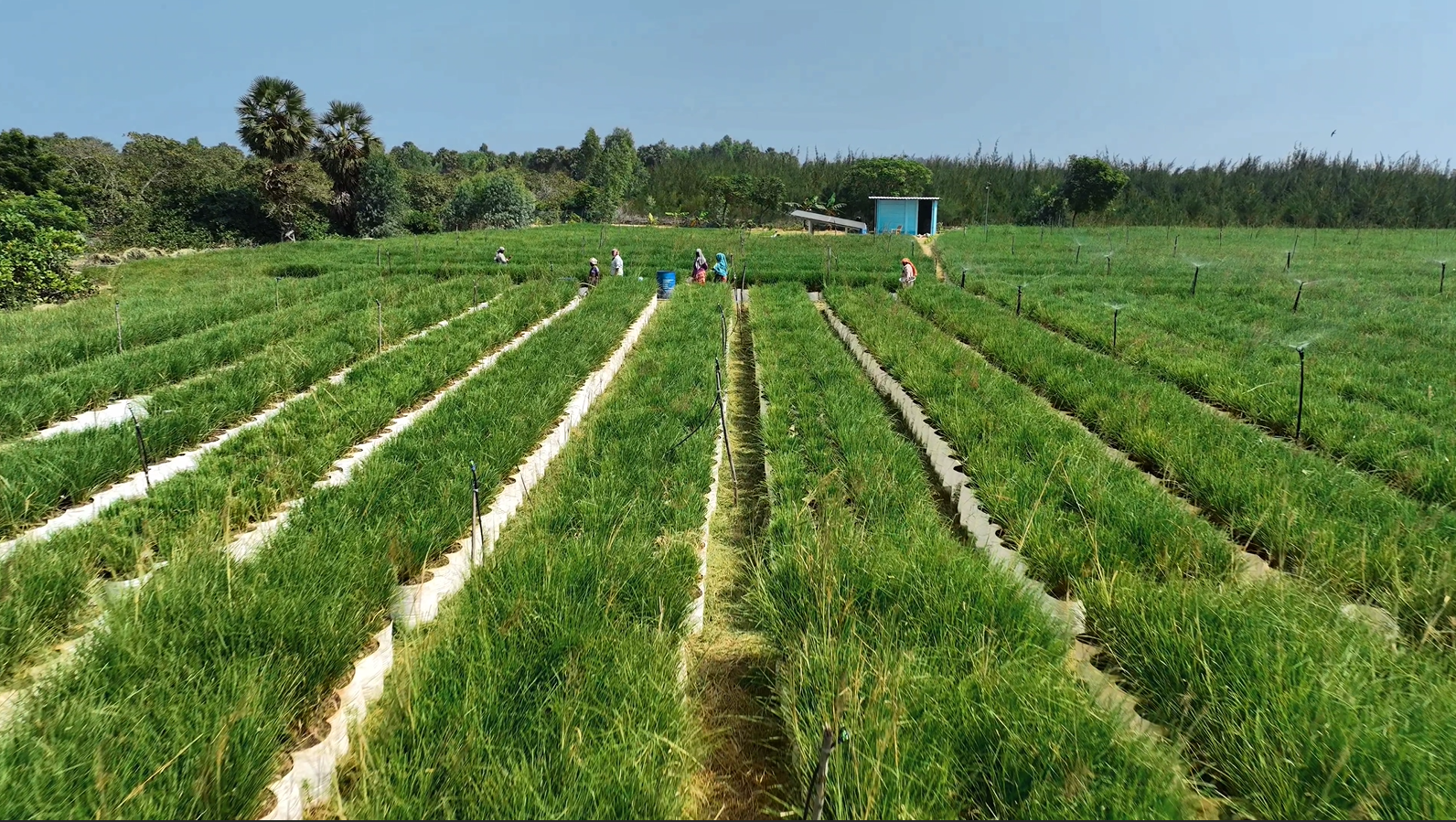 Capture d’écran 2026-01-12 161727 Capture d’écran 2026-01-12 161727