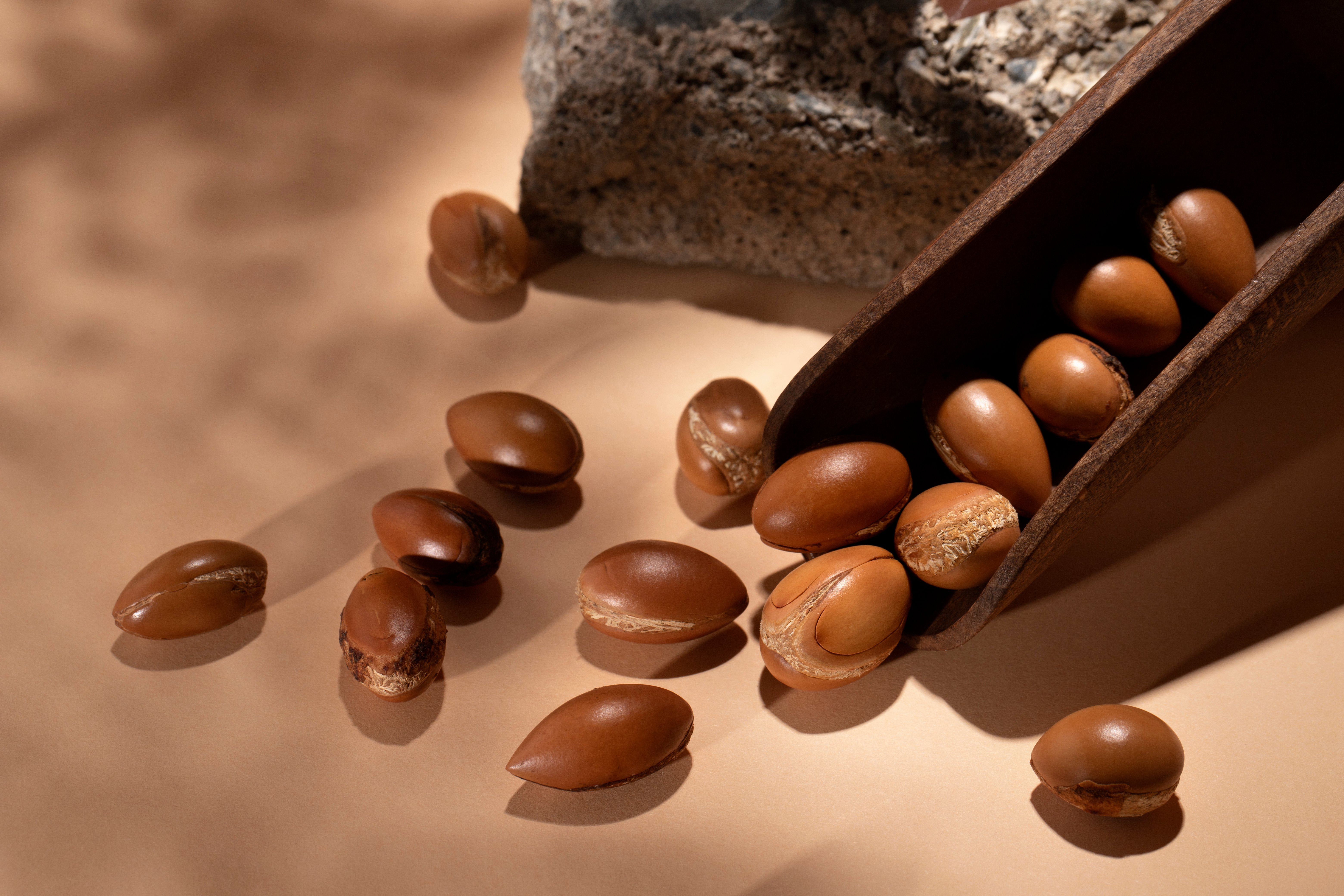 arrangement-natural-argan-seeds
