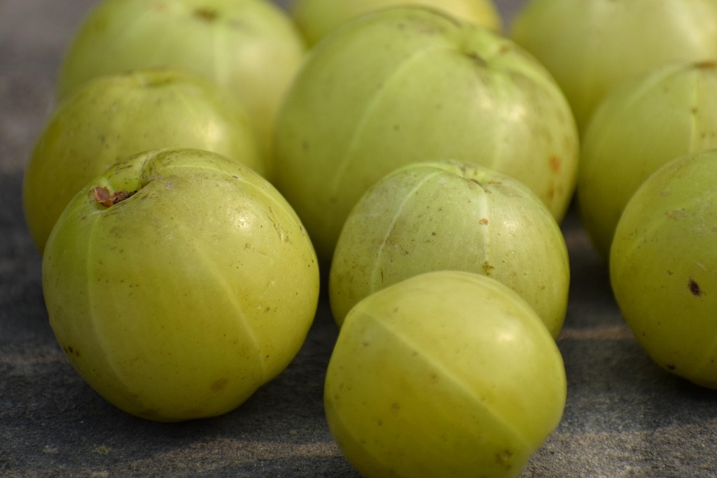 emblic-4346562_1280 (1)