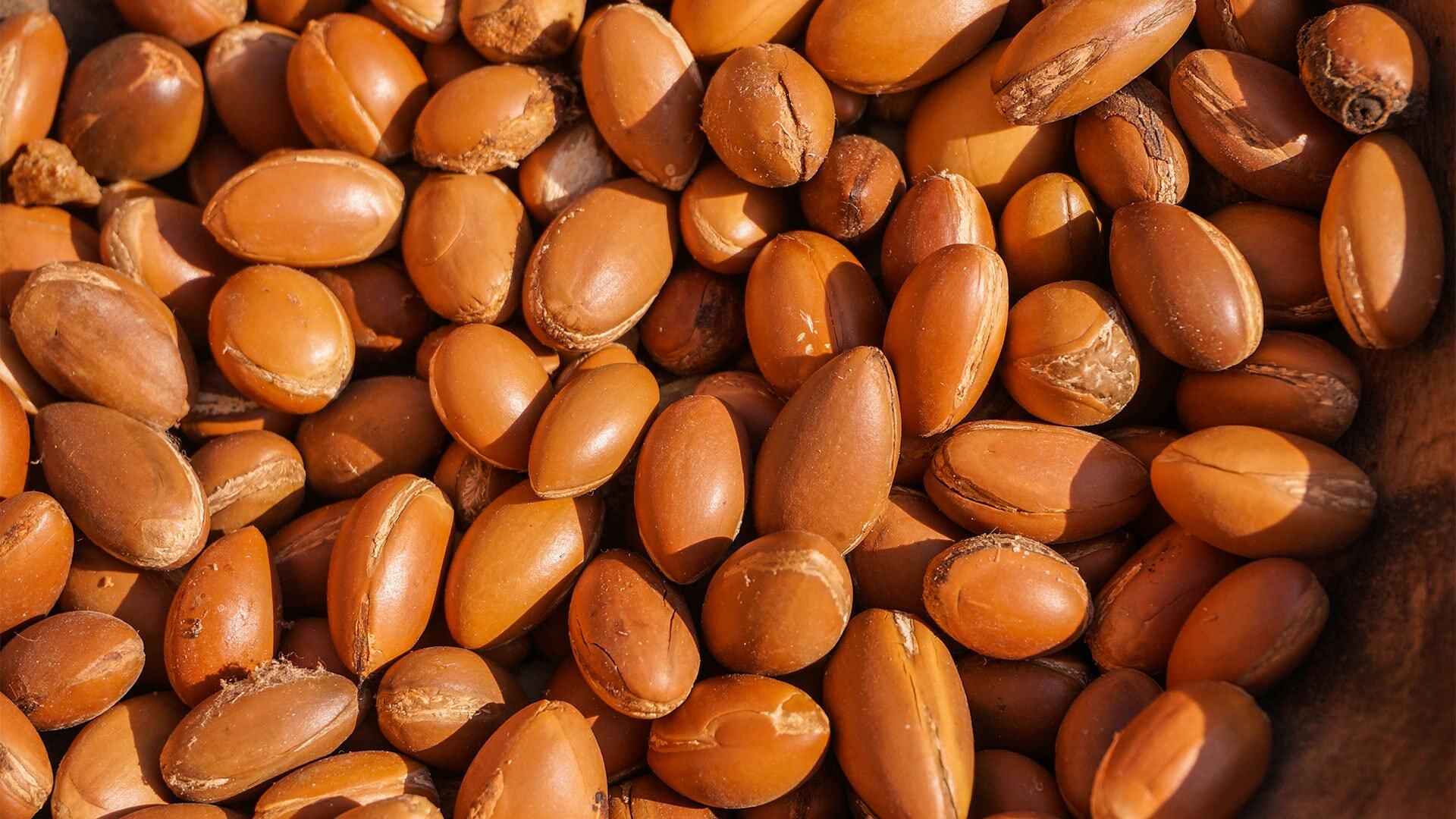 za.argan_p_1_0
